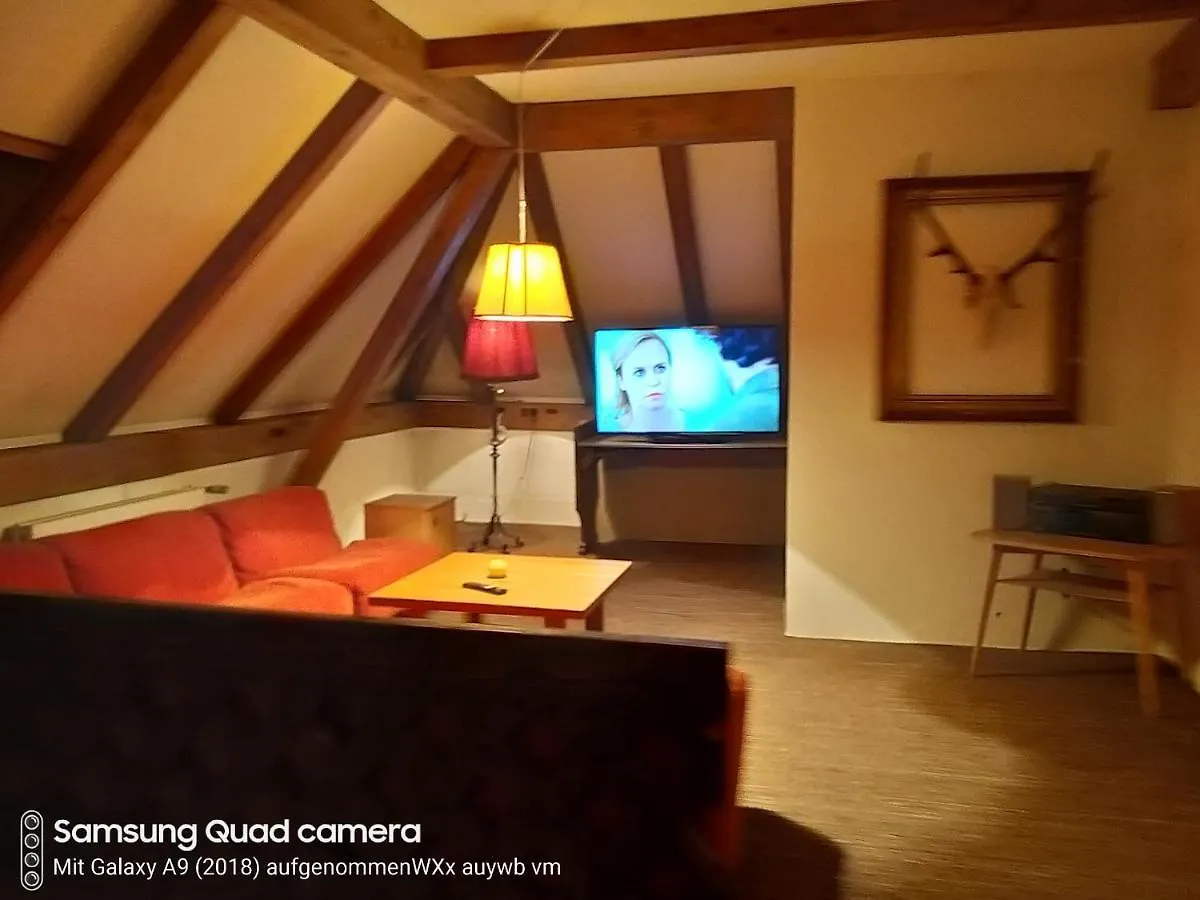 Salzachvilla Salzburg Apartment